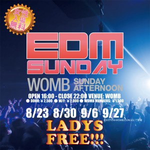 082315-EDMSUNDAY_980px