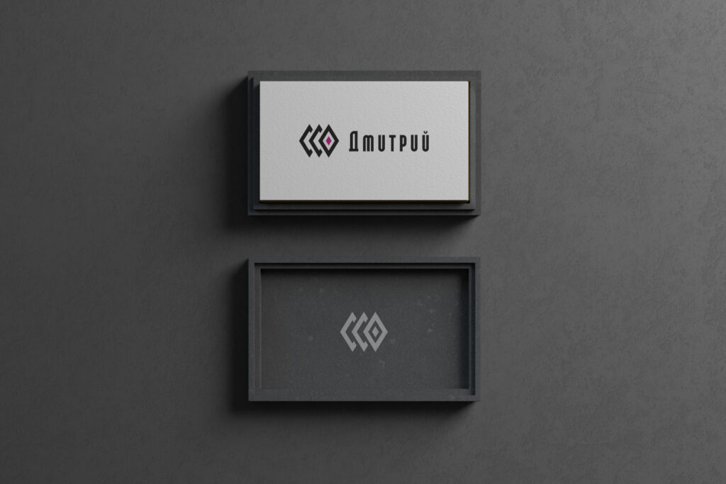DEMITROI(Дмитрий) LOGO 使用例4 Business cards